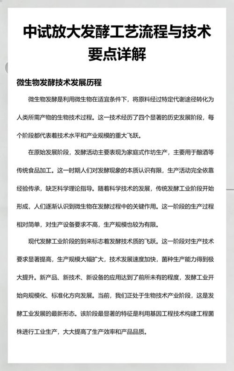 中试放大